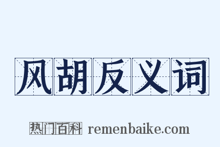 风胡反义词是什么意思的图片